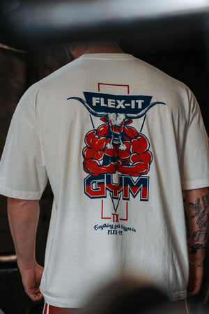 FLEX-IT GYM OVERSIZED TEE